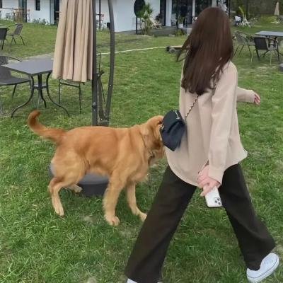 狂想曲