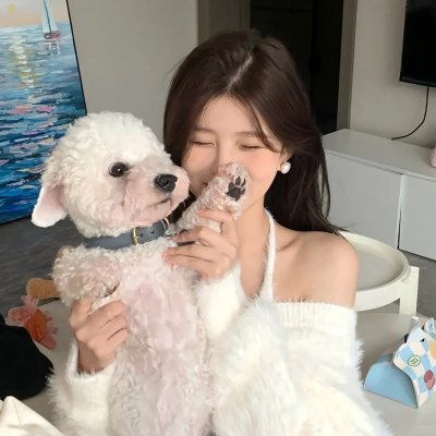 直言真相第三季